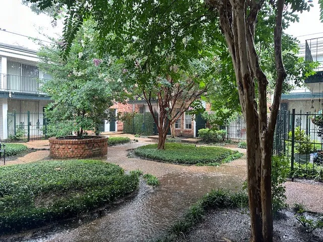 a view of a forest from balcony