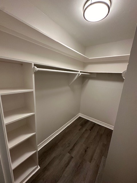 3400 Timmons Lane, Unit 24 Houston, TX 77027 - Photo 21 of 21 a view of an empty walk in closet