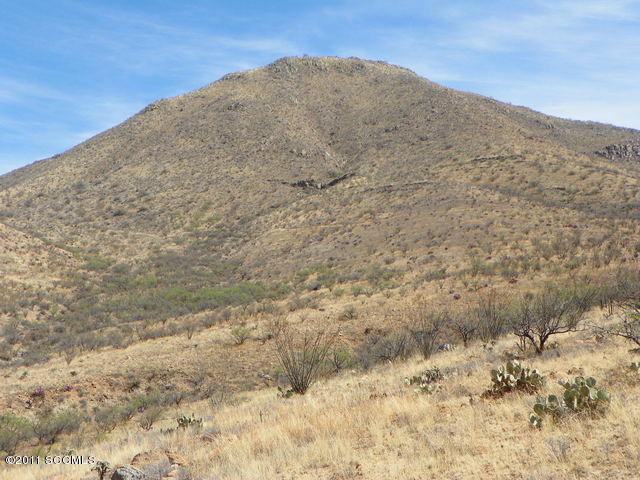 1809 Círculo Tortuga Rio Rico, AZ 85648 - Photo 23 of 26 a view of a dry space with mountain view