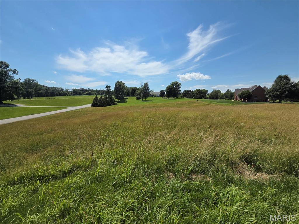 1053 Country Club Lane Waterloo, IL 62298 - Photo 3 of 6