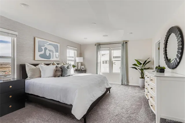 a bedroom with a large bed and a window