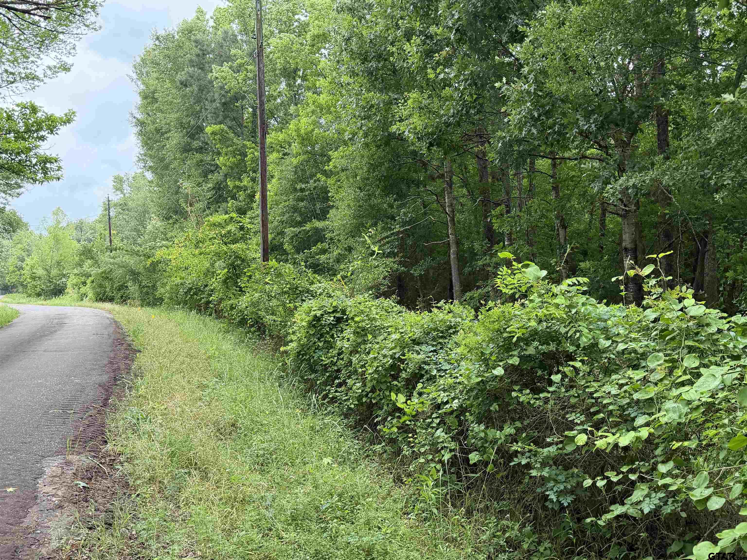 1204 County Road 1204 Rusk, TX 75785 - Photo 2 of 15
