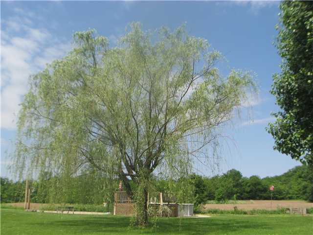 12986 O'Dell Road Greenfield, OH 45123 - Photo 12 of 15
