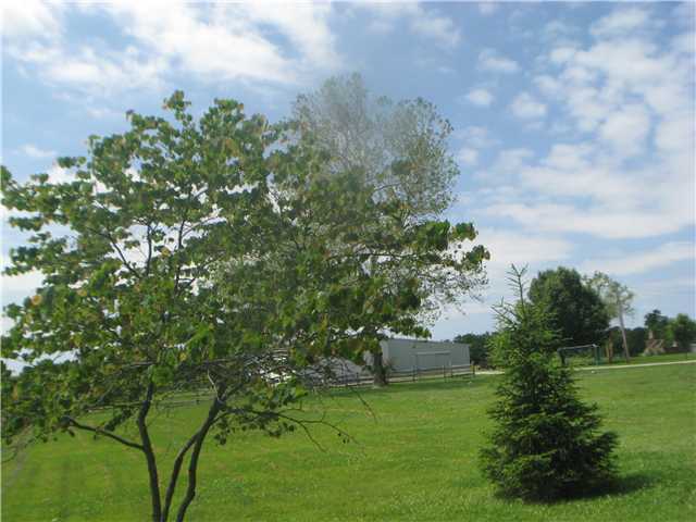 12986 O'Dell Road Greenfield, OH 45123 - Photo 13 of 15
