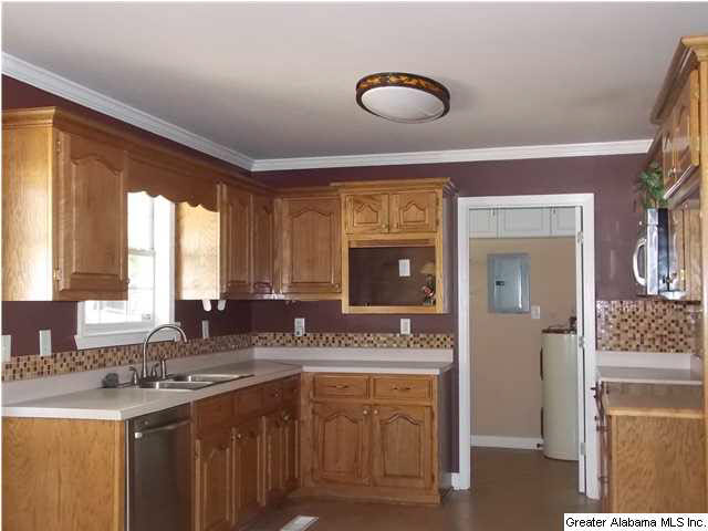 102 Drexel Drive Oneonta, AL 35121 - Photo 2 of 30