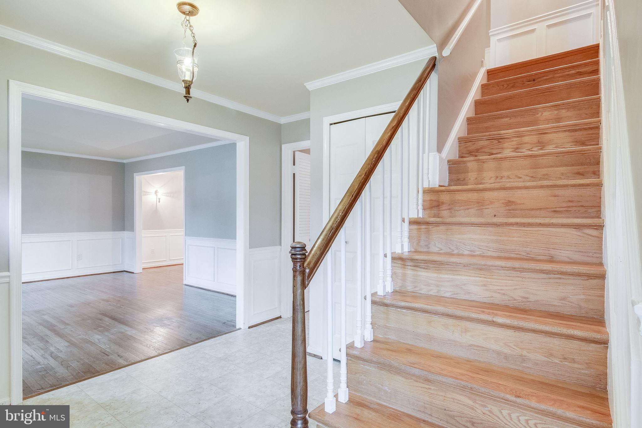 8610 Powder Horn Road Springfield, VA 22152 - Photo 6 of 65