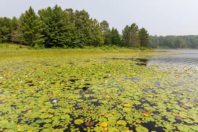 $136,000 | Lot 1 Turtle Lake Drive Northwest, Walker, MN 56484