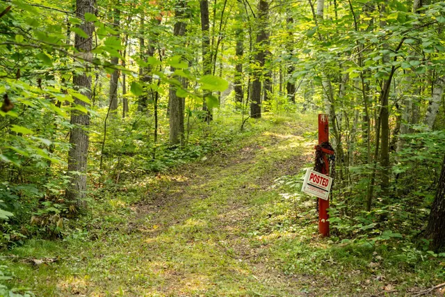 $136,000 | Lot 1 Turtle Lake Drive Northwest, Walker, MN 56484