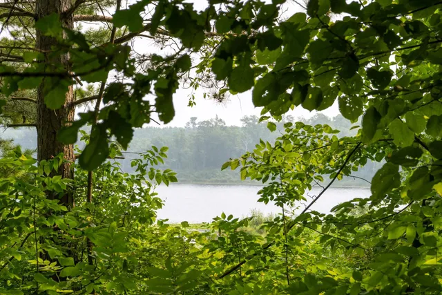 $136,000 | Lot 1 Turtle Lake Drive Northwest, Walker, MN 56484