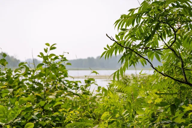 $136,000 | Lot 1 Turtle Lake Drive Northwest, Walker, MN 56484