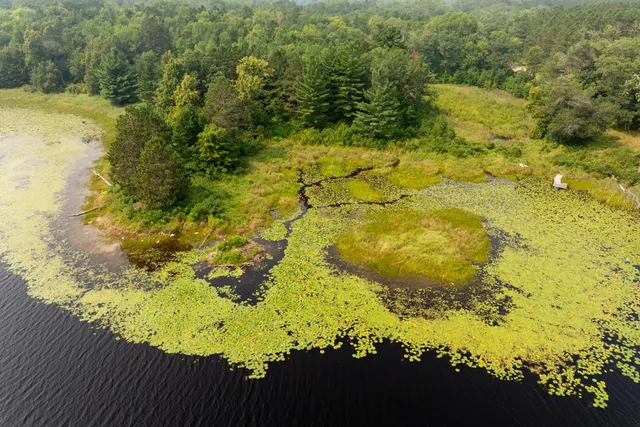 $136,000 | Lot 1 Turtle Lake Drive Northwest, Walker, MN 56484