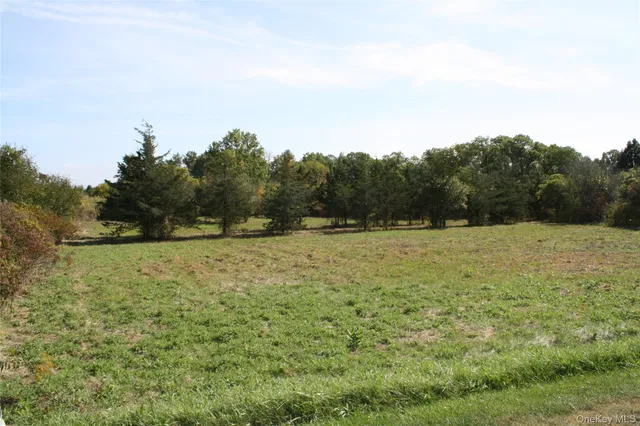 a view of a field with trees