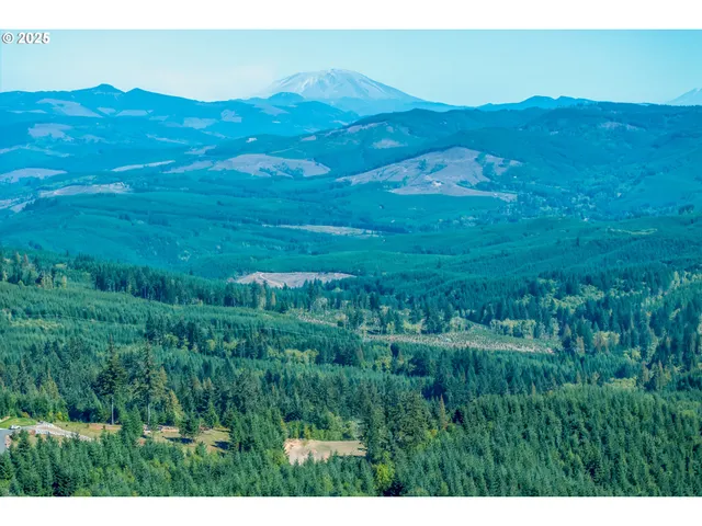 a view of a lush green hillside and houses