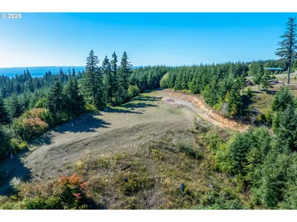 a view of a dry yard with trees in the background