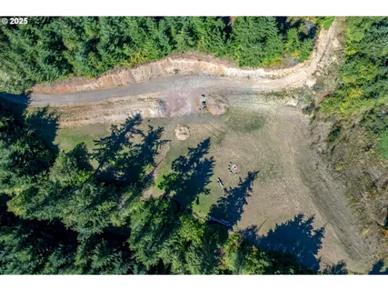 a view of a lake in a forest