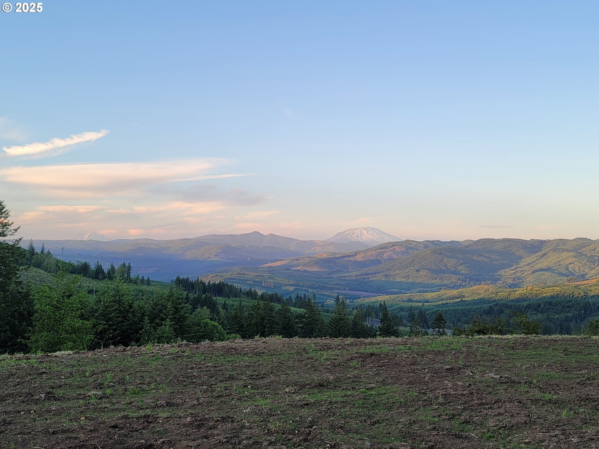 787 Five Peaks Drive Kalama, WA 98625 - Photo 13 of 14 a view of a field with mountains in the background