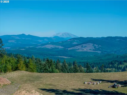 a view of a mountain with a field