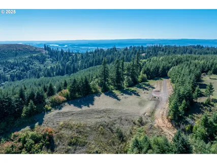 a view of a yard with a street
