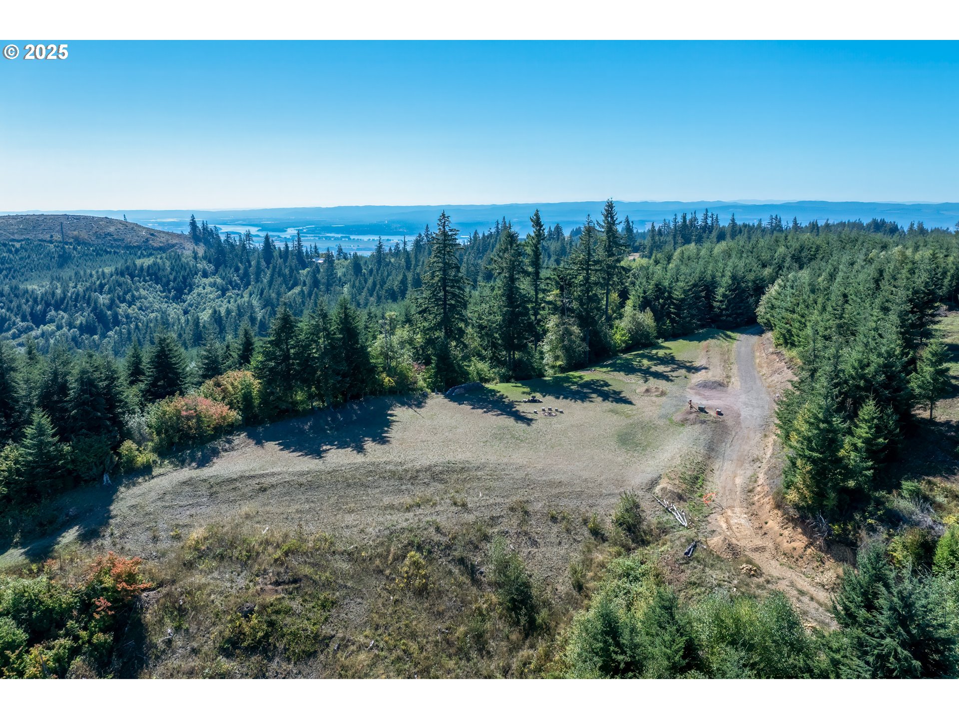 787 Five Peaks Drive Kalama, WA 98625 - Photo 4 of 14 a view of a yard with a tree