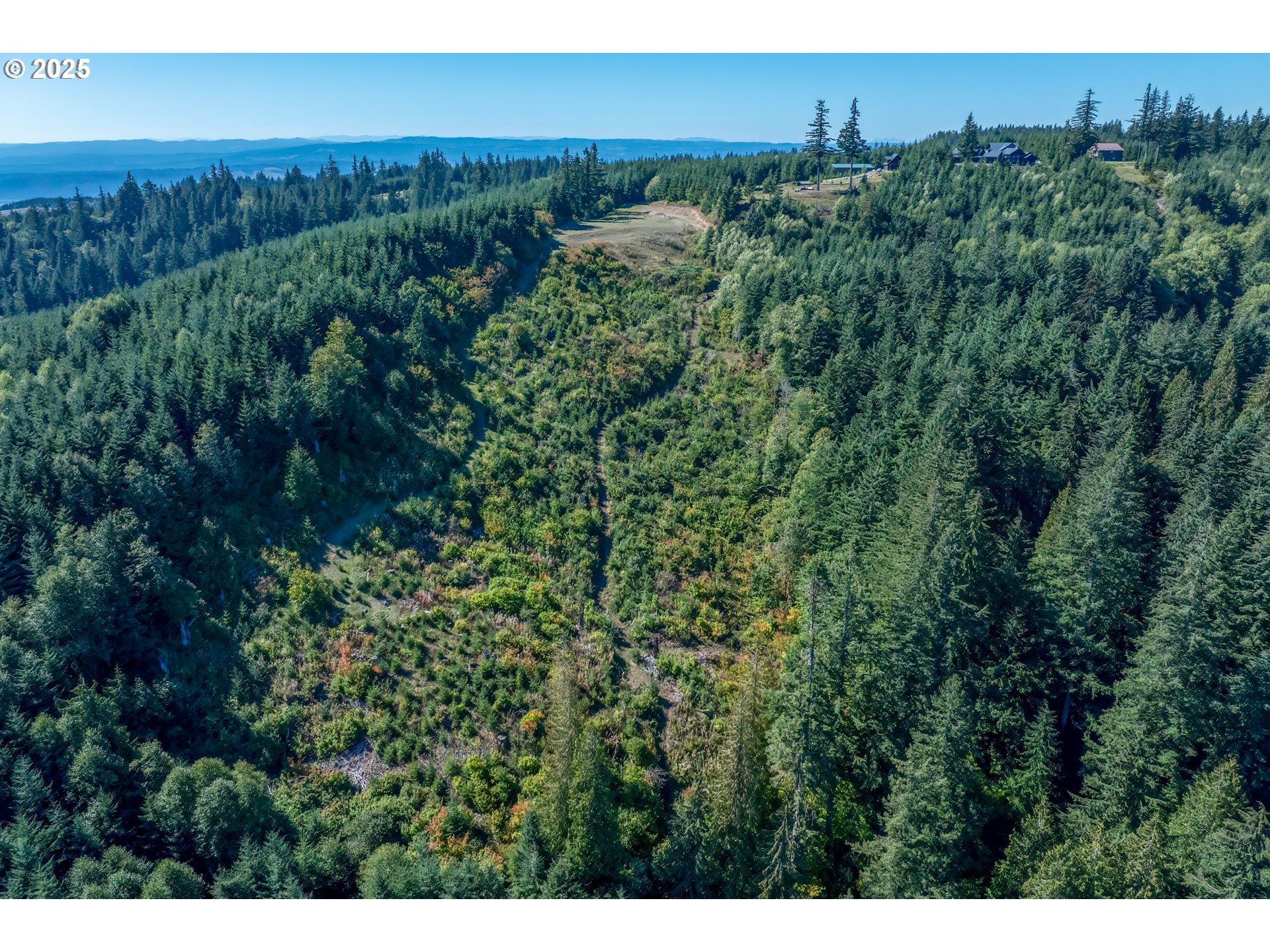 787 Five Peaks Drive Kalama, WA 98625 - Photo 6 of 14 a view of a big yard with plants and large trees