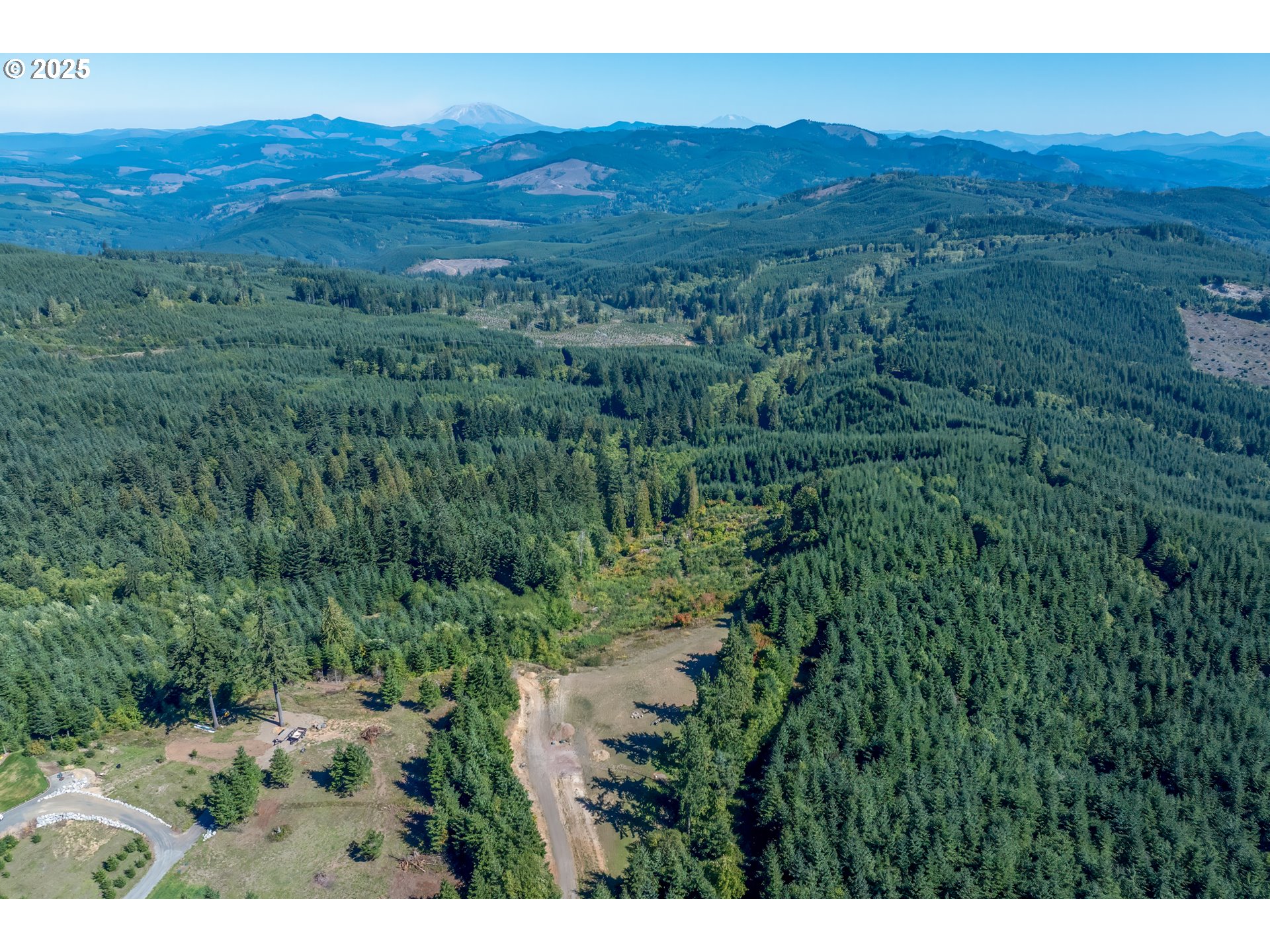 787 Five Peaks Drive Kalama, WA 98625 - Photo 7 of 14 a view of a lush green hillside and a houses