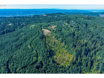 a view of a city with lush green forest