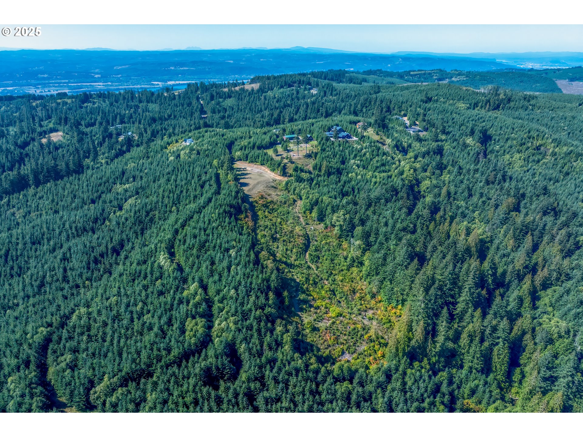 787 Five Peaks Drive Kalama, WA 98625 - Photo 9 of 14 a view of a city with lush green forest