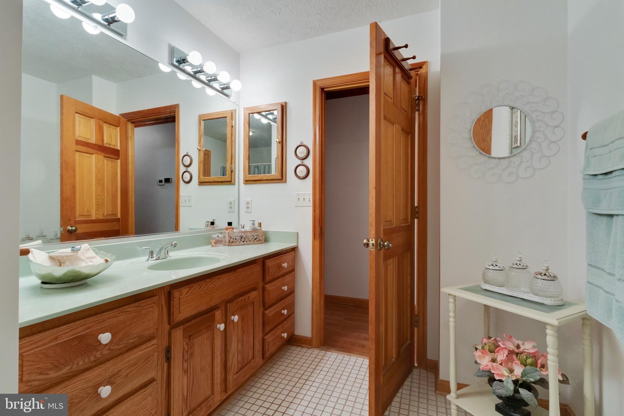17161 Hudson Mill Road Culpeper, VA 22701 - Photo 17 of 42 Hall Bathroom