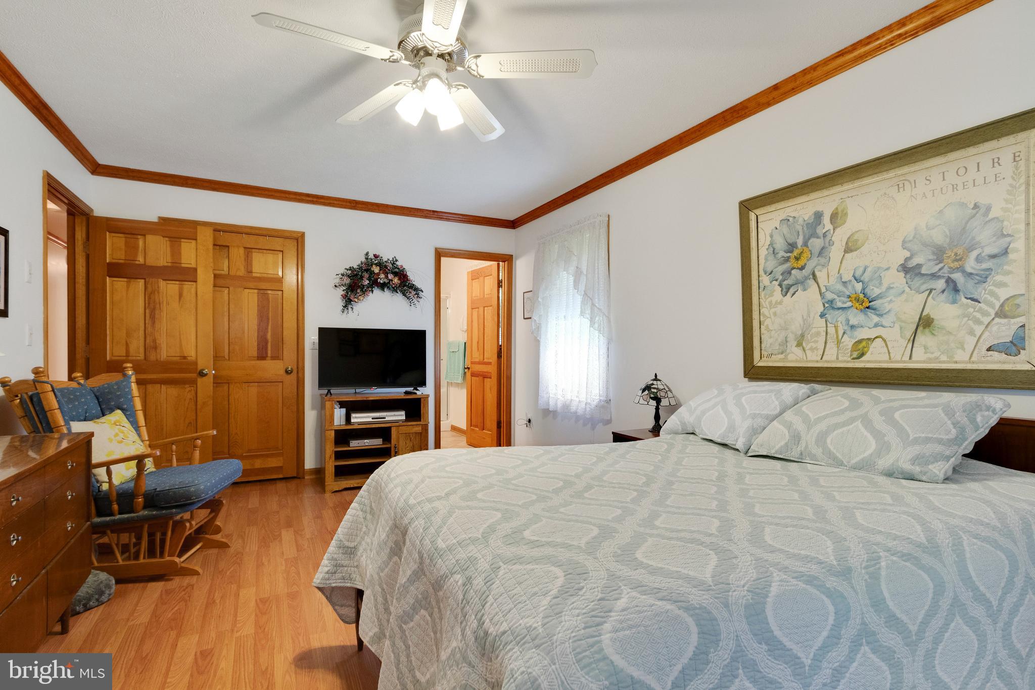 17161 Hudson Mill Road Culpeper, VA 22701 - Photo 19 of 42 Bedroom #1 towards bathroom