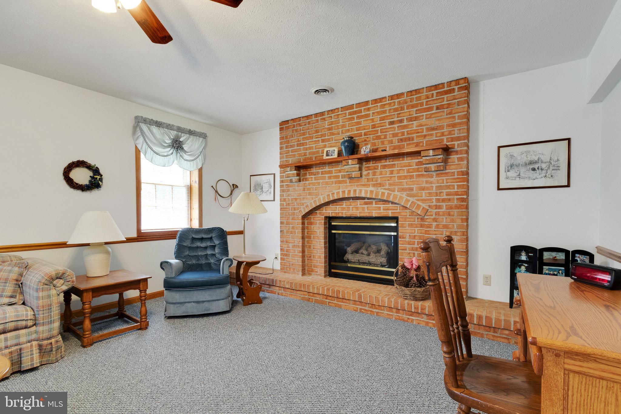 17161 Hudson Mill Road Culpeper, VA 22701 - Photo 28 of 42 Gas fireplace and lots of light.