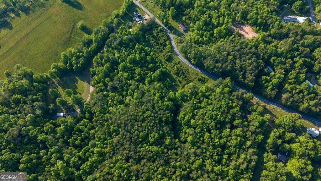 1 West Gum Log Road Warne, NC 28909 - Photo 8 of 26