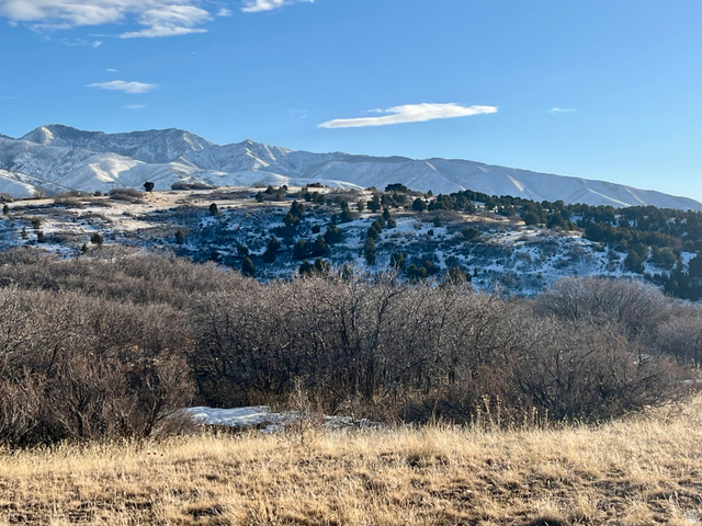 150 North 2000th Street East Fillmore, UT 84631 - Photo 1 of 1 Mountain view