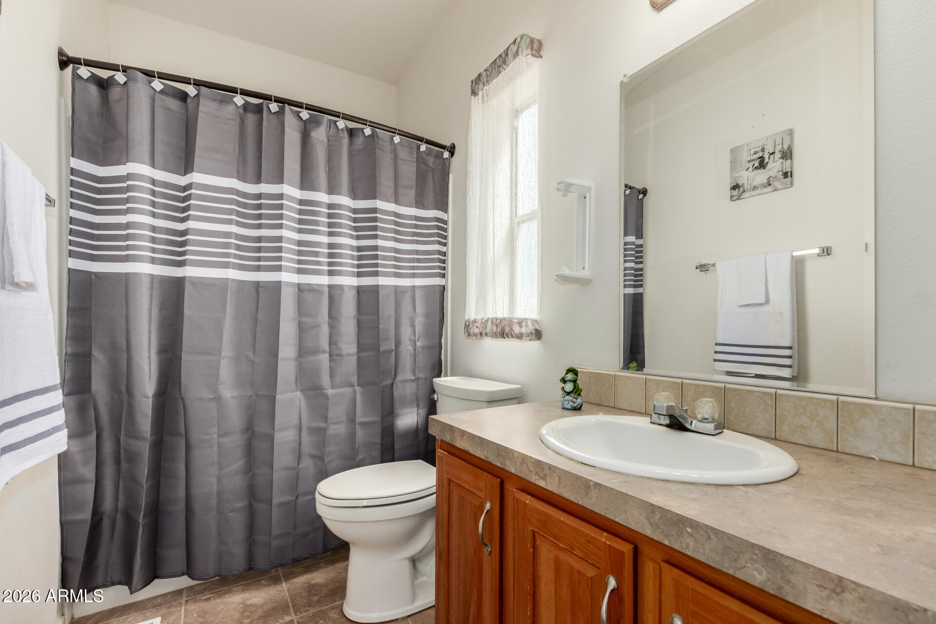 23851 West Tether Trail Wittmann, AZ 85361 - Photo 31 of 44 a bathroom with a sink a toilet and shower