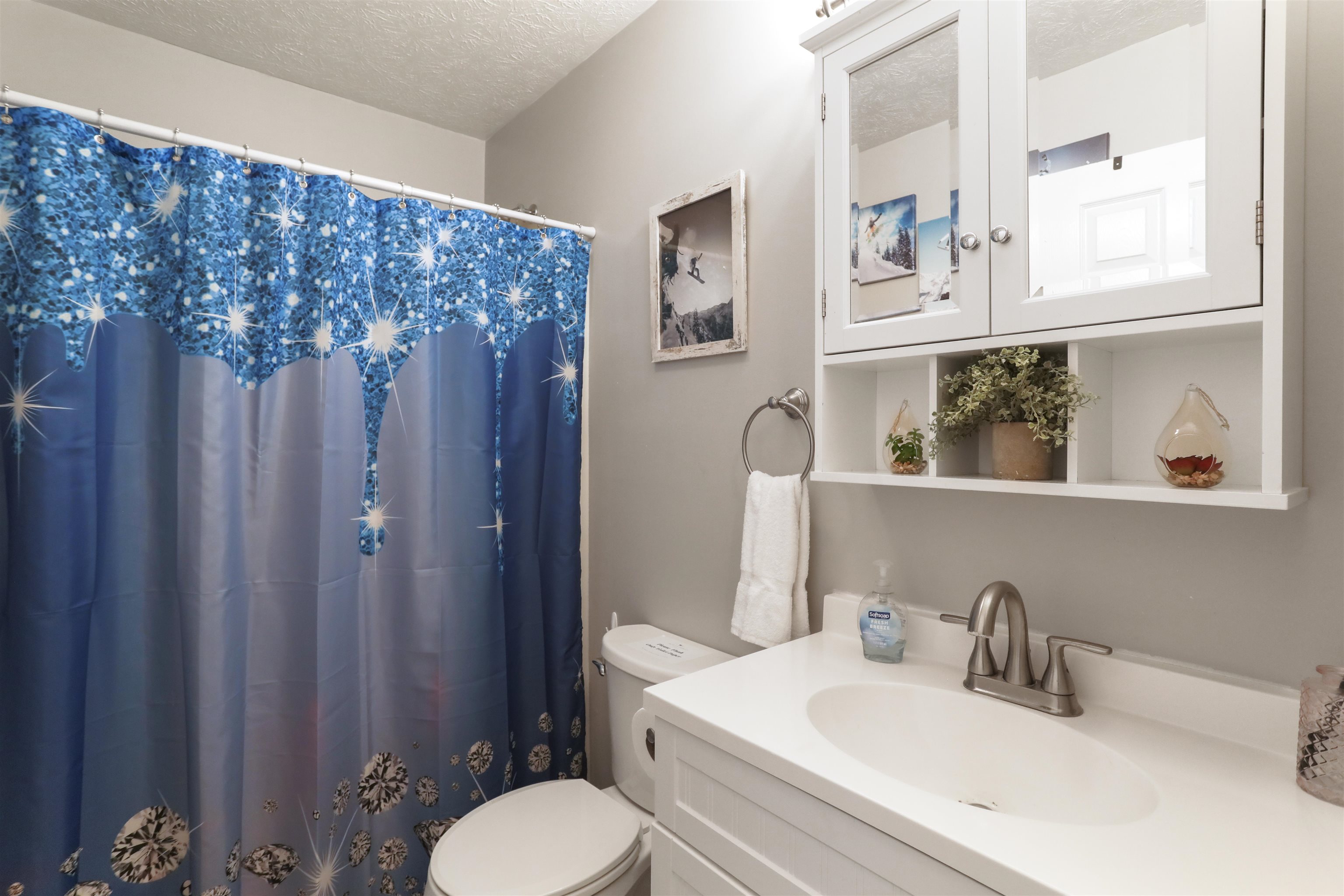 317 Locustdale Loop Shenandoah, VA 22849 - Photo 17 of 39 a bathroom with a sink vanity mirror and toilet