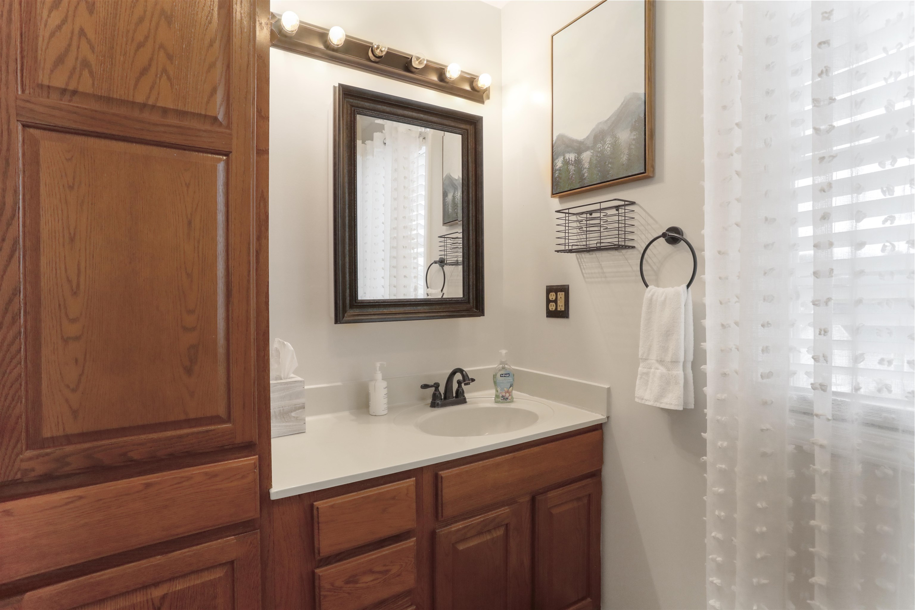 317 Locustdale Loop Shenandoah, VA 22849 - Photo 22 of 39 a bathroom with a sink vanity and mirror