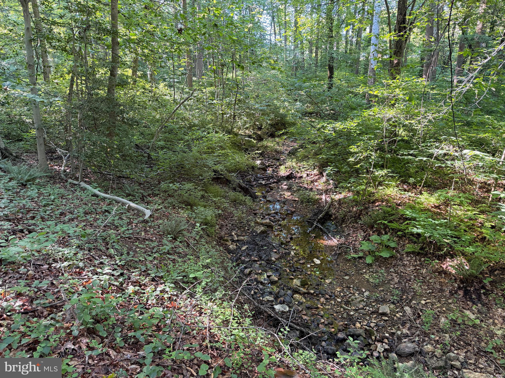 0 Rock Springs Road Conowingo, MD 21918 - Photo 75 of 79