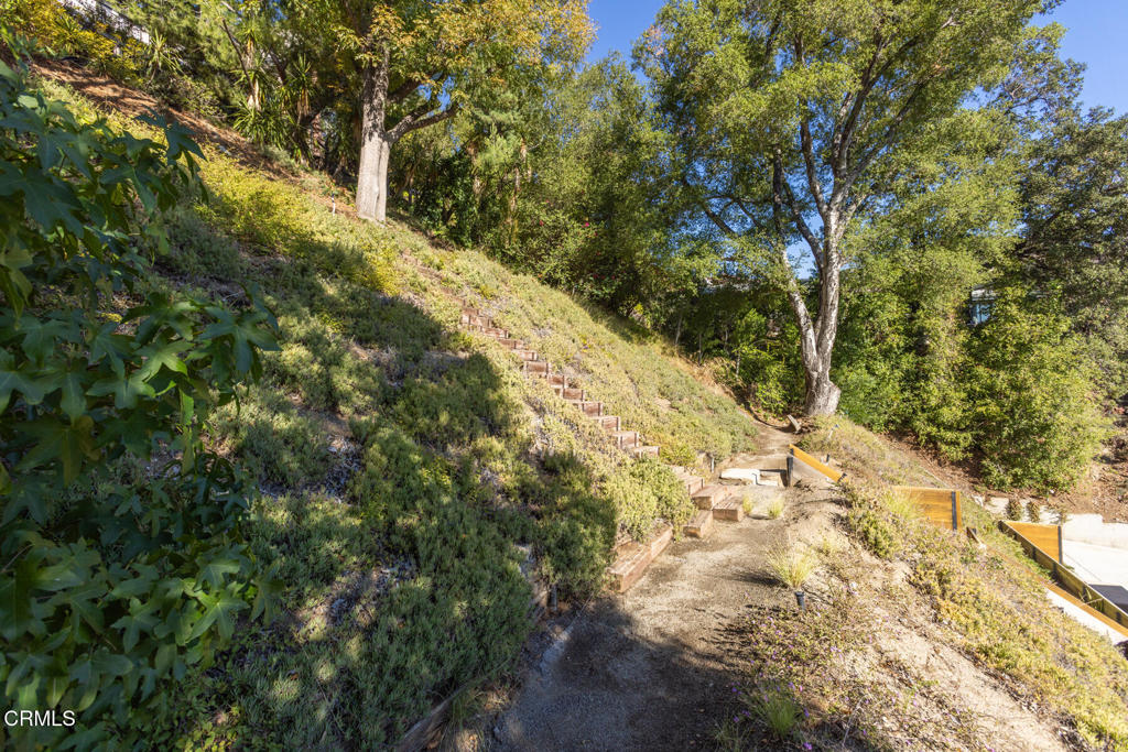 1823 Risa Place Glendale, CA 91208 - Photo 30 of 36 a view of a forest with trees
