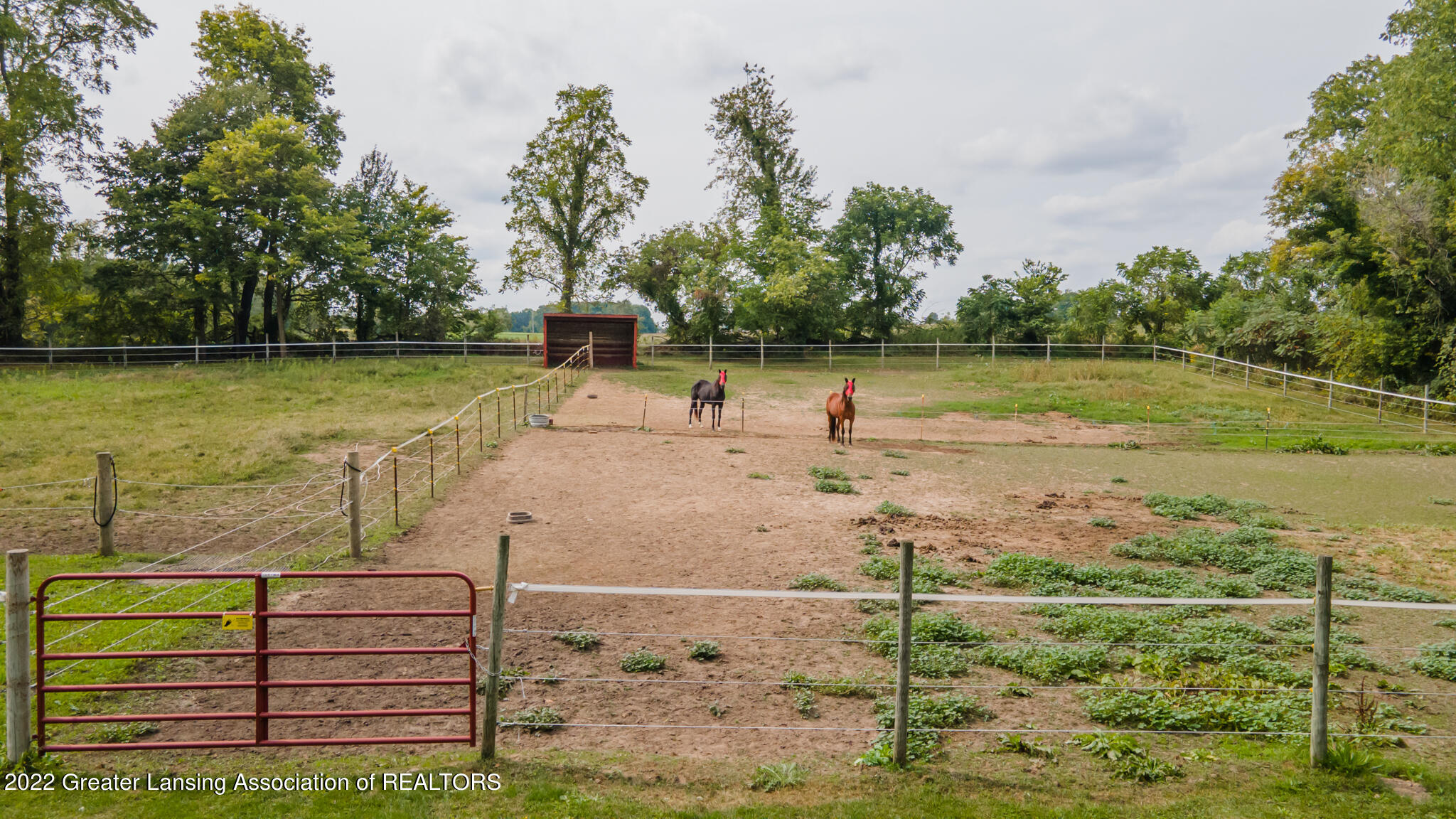 5354 Bunker Road Mason, MI 48854 - Photo 23 of 30 Pasture(s)