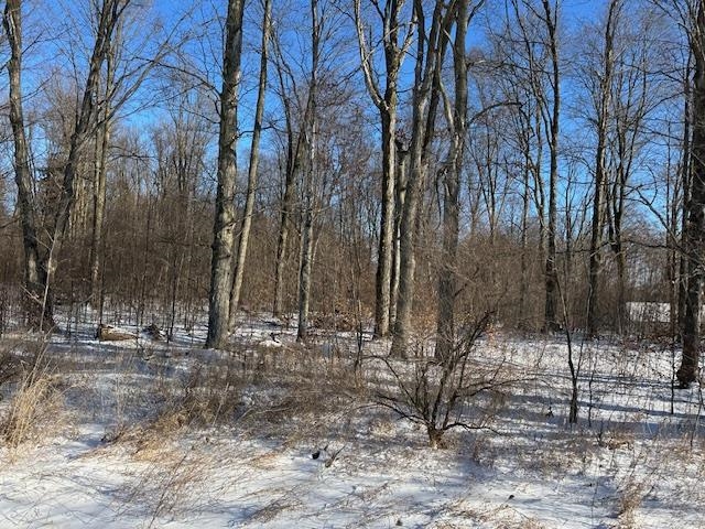 0 South Burkett Road McBain, MI 49657 - Photo 5 of 5 Gallery Image 5