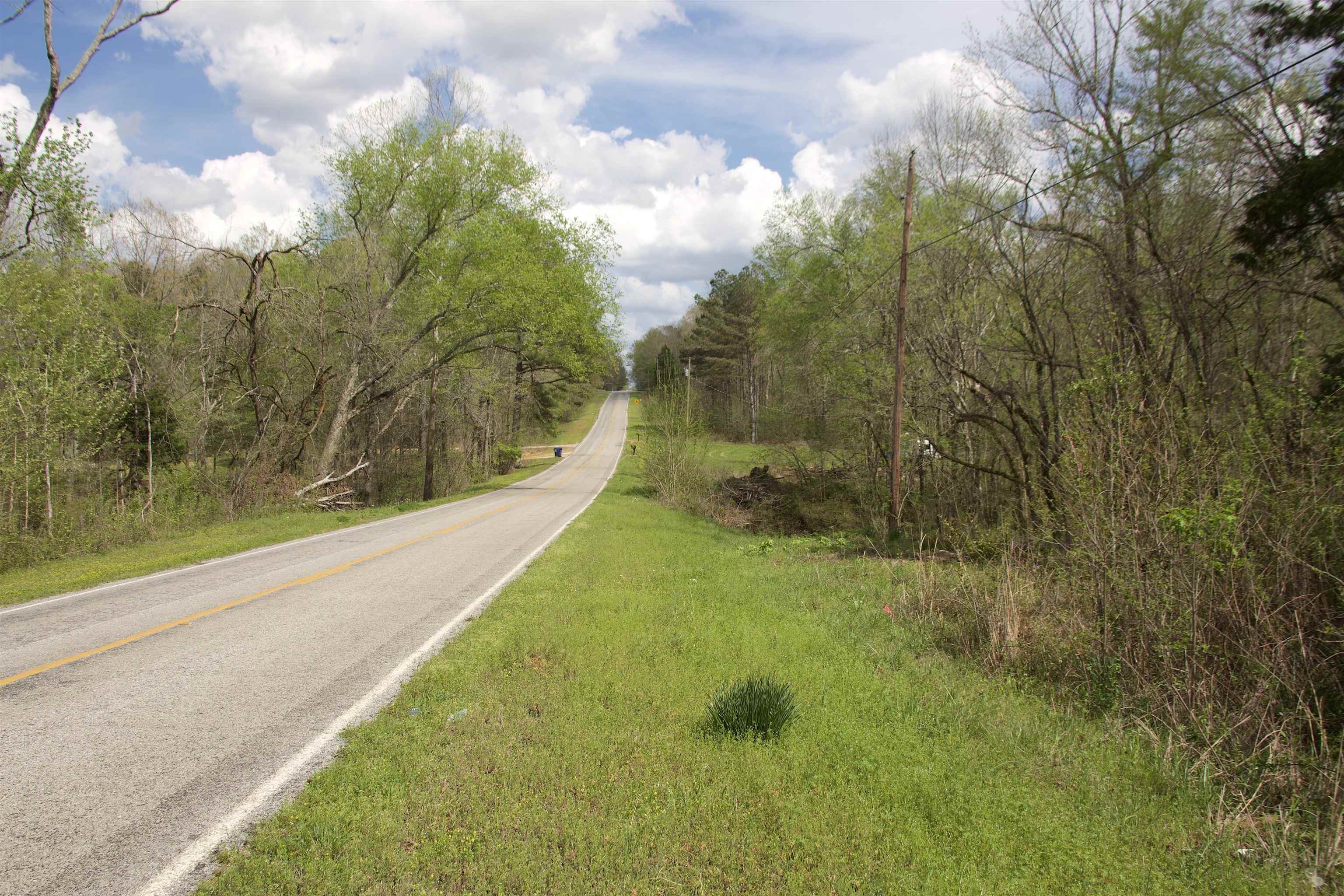 2787 Bryan Road Michigan City, MS 38647 - Photo 19 of 19 a view of a yard with large trees
