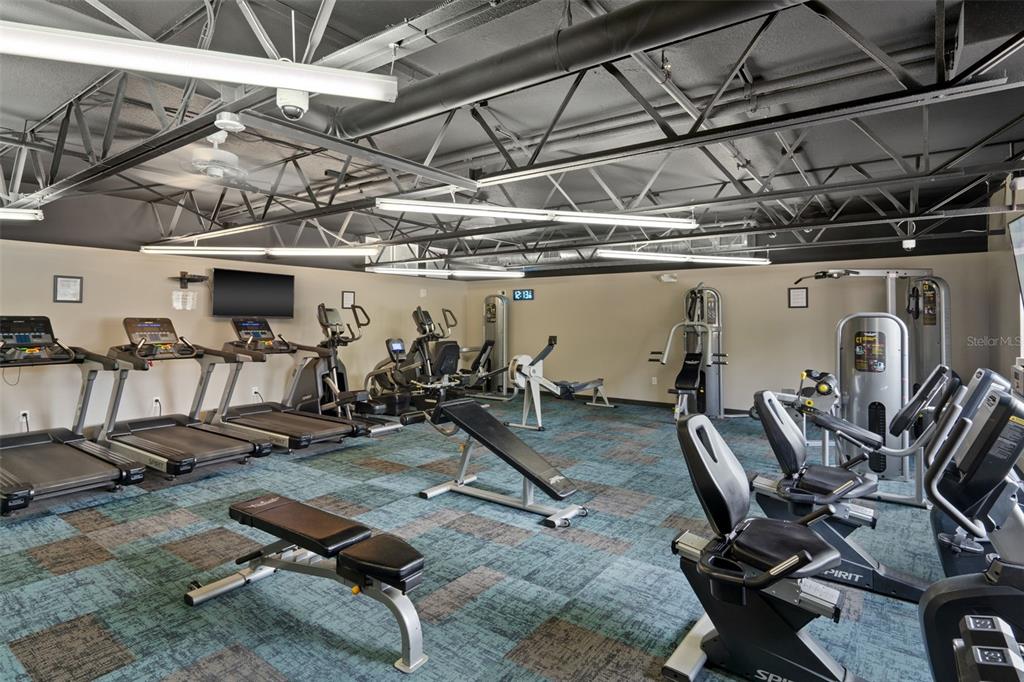 11630 Bayonet Lane New Port Richey, FL 34654 - Photo 49 of 58 a view of a room with gym equipment