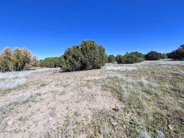 $102,000 | 1639 Silver Lake Boulevard, Unit 12B, Show Low, AZ 85901