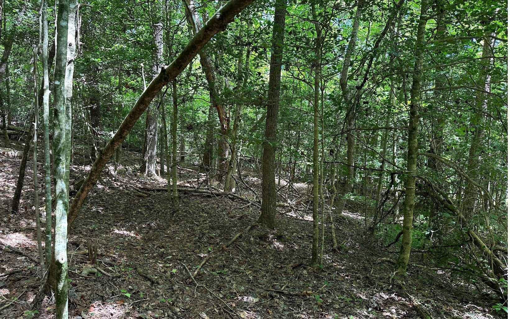 3.8 Big Creek Road Ellijay, GA 30536 - Photo 11 of 16 Additional View