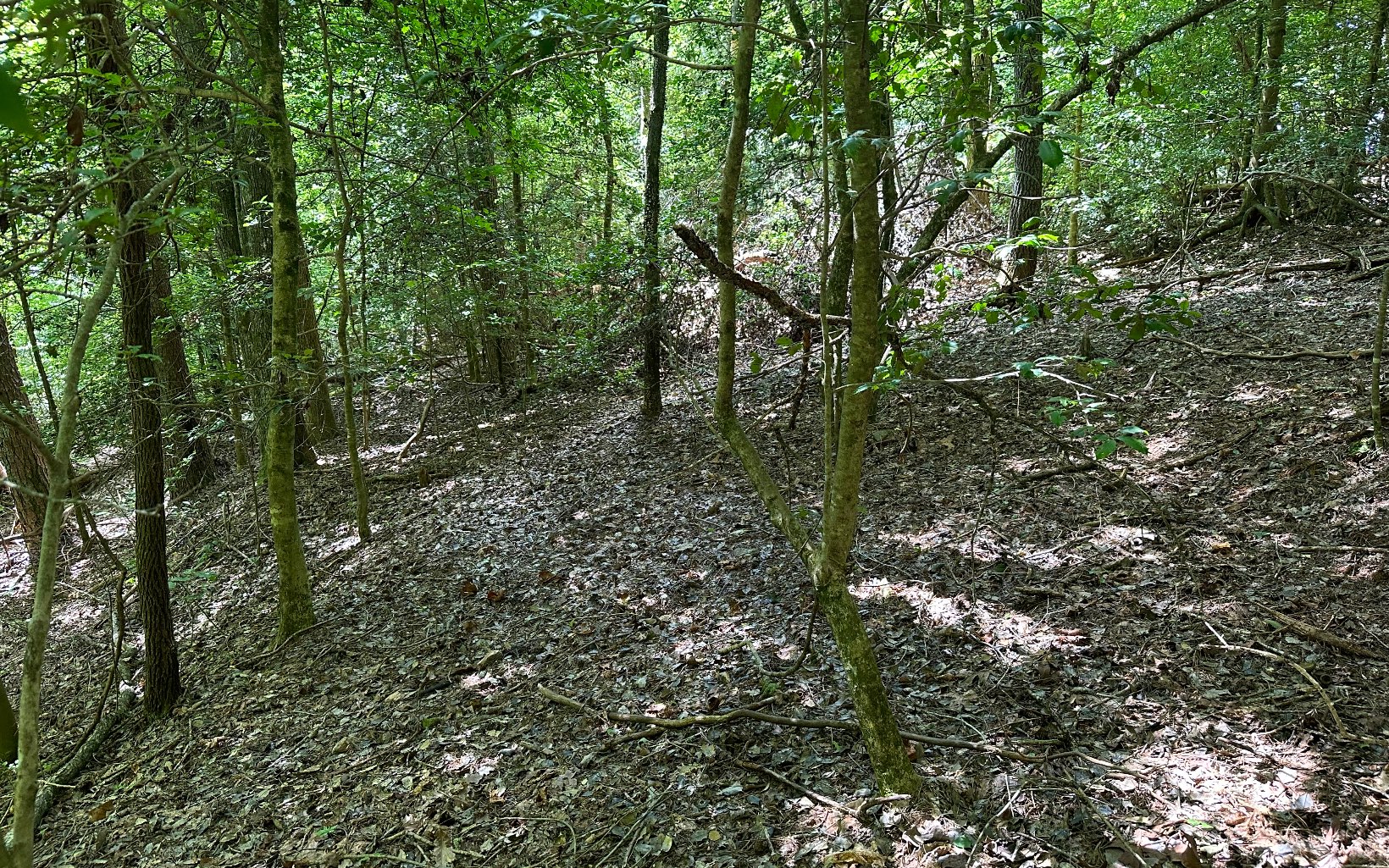3.8 Big Creek Road Ellijay, GA 30536 - Photo 13 of 16 Additional View
