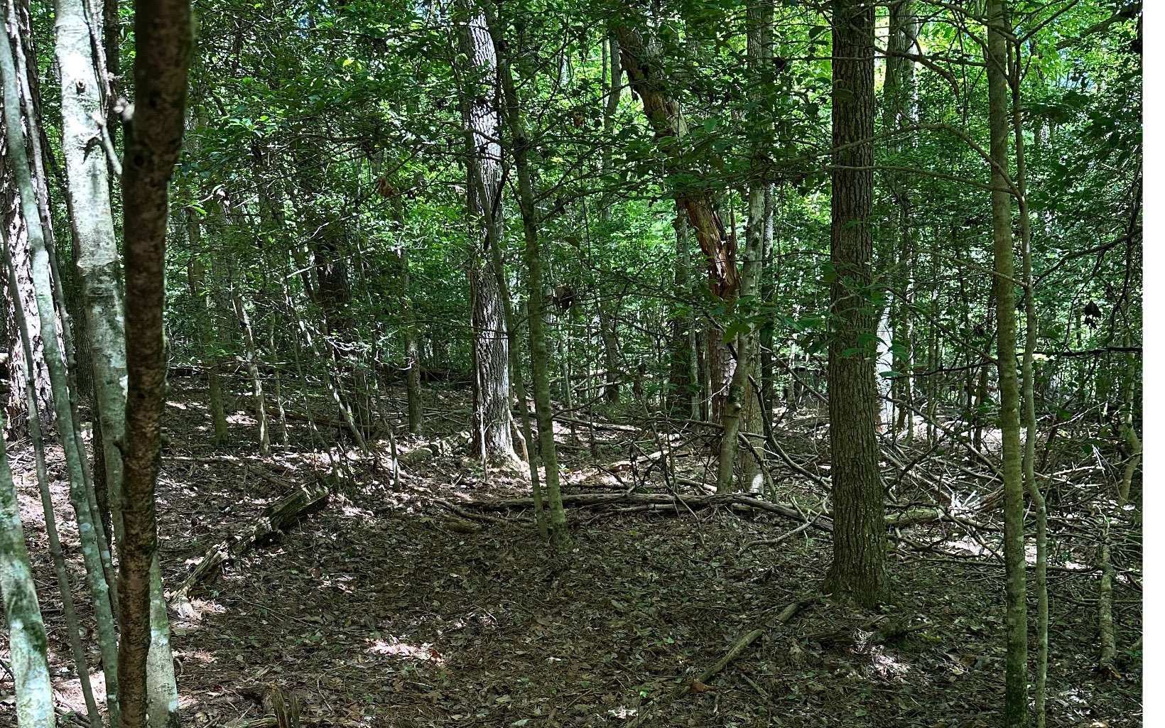 3.8 Big Creek Road Ellijay, GA 30536 - Photo 14 of 16 Additional View