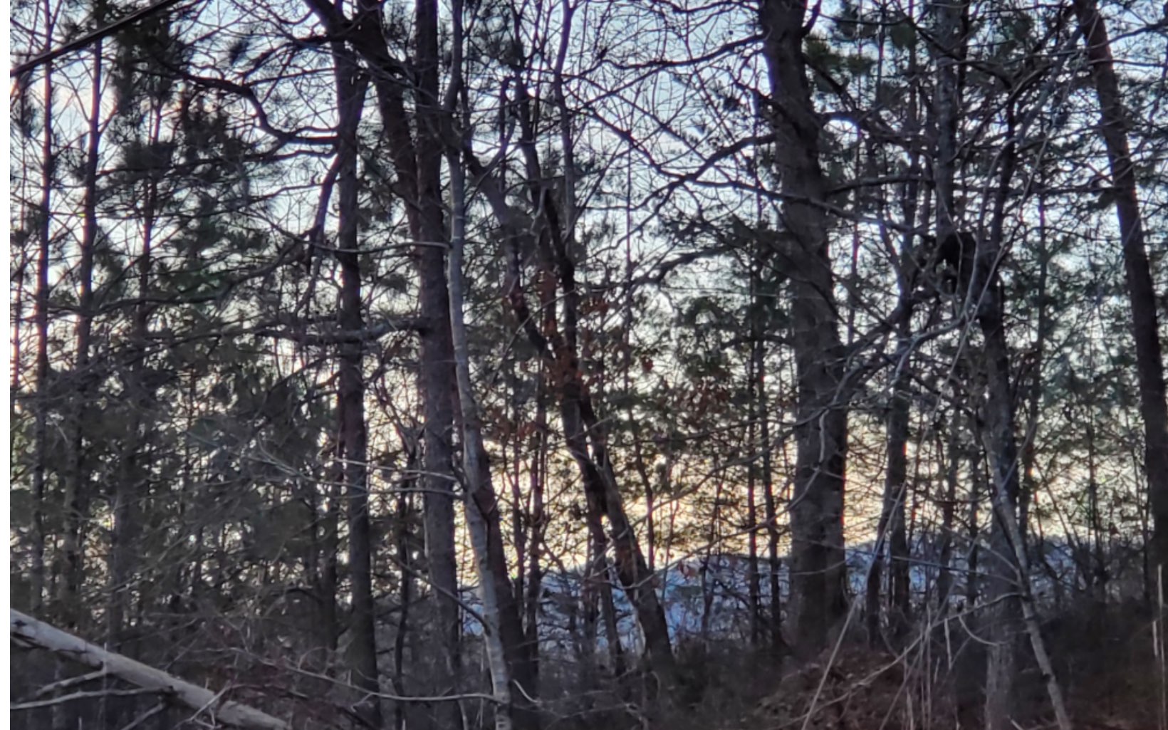 3.8 Big Creek Road Ellijay, GA 30536 - Photo 3 of 16 Additional View