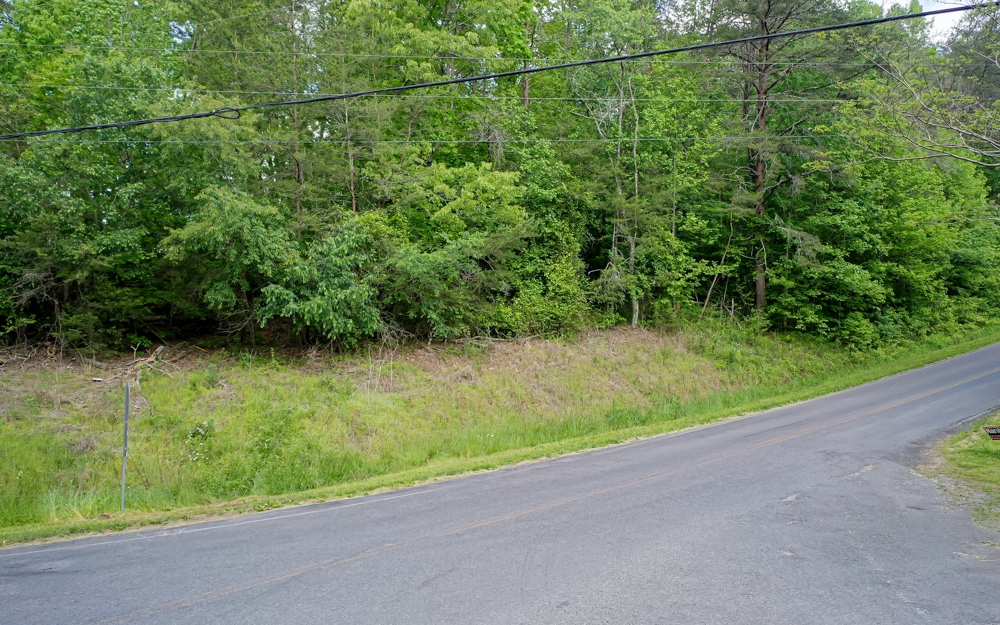 3.8 Big Creek Road Ellijay, GA 30536 - Photo 4 of 16 Additional View