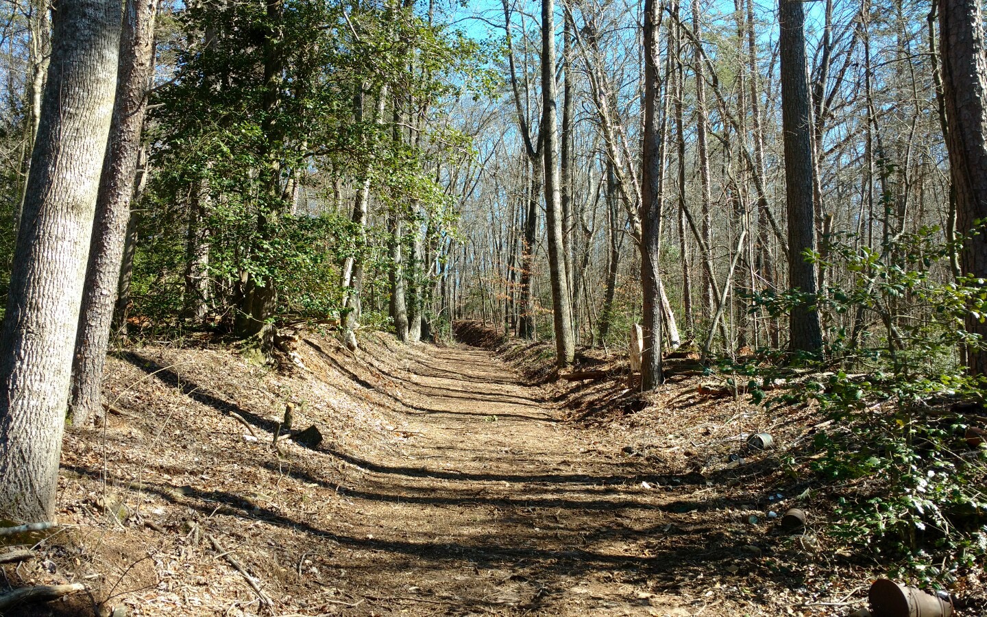 3.8 Big Creek Road Ellijay, GA 30536 - Photo 5 of 16 Additional View