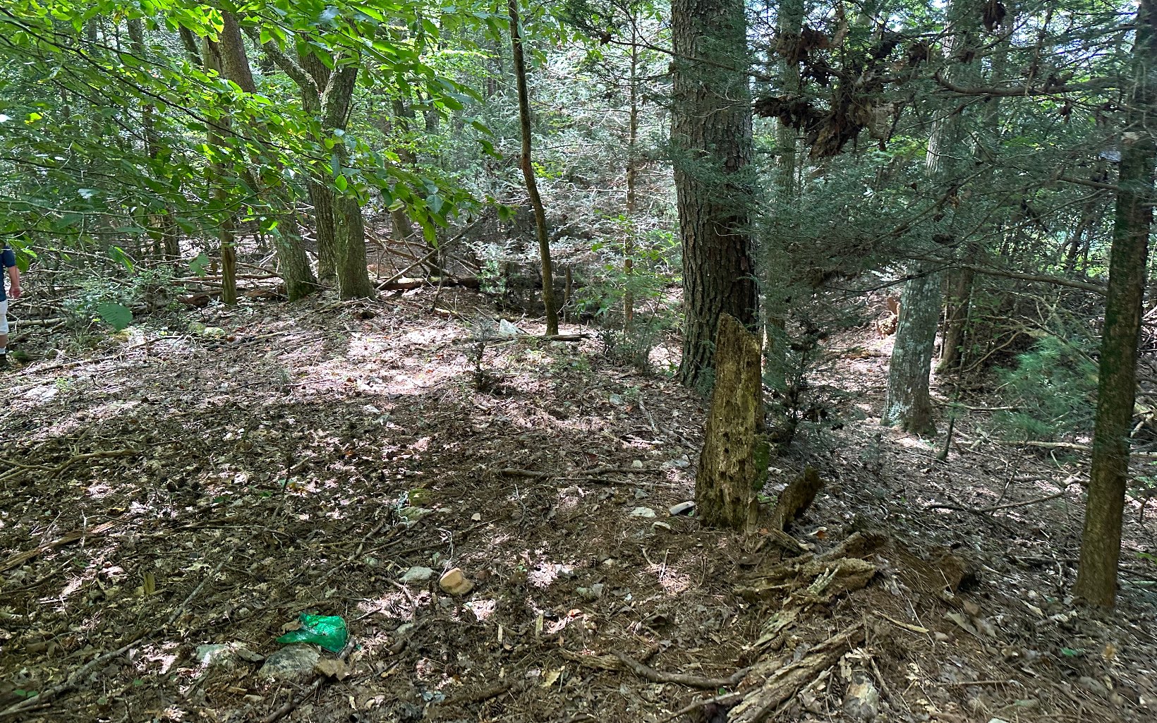 3.8 Big Creek Road Ellijay, GA 30536 - Photo 10 of 16 Additional View