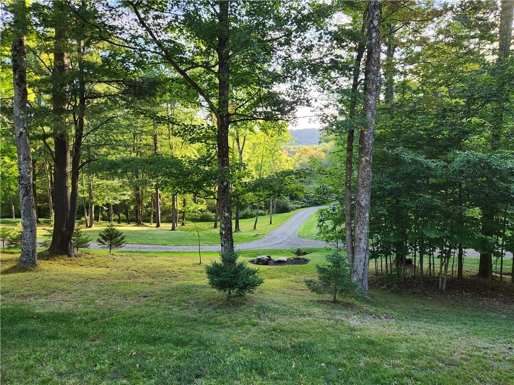 316 Seminary Road Hartwick, NY 13807 - Photo 8 of 23